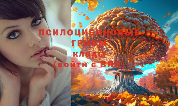 скорость Балахна