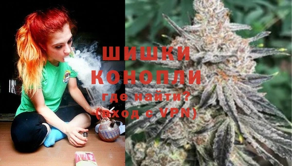 PSILOCYBIN Балабаново