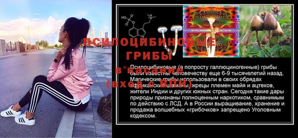 PSILOCYBIN Балабаново